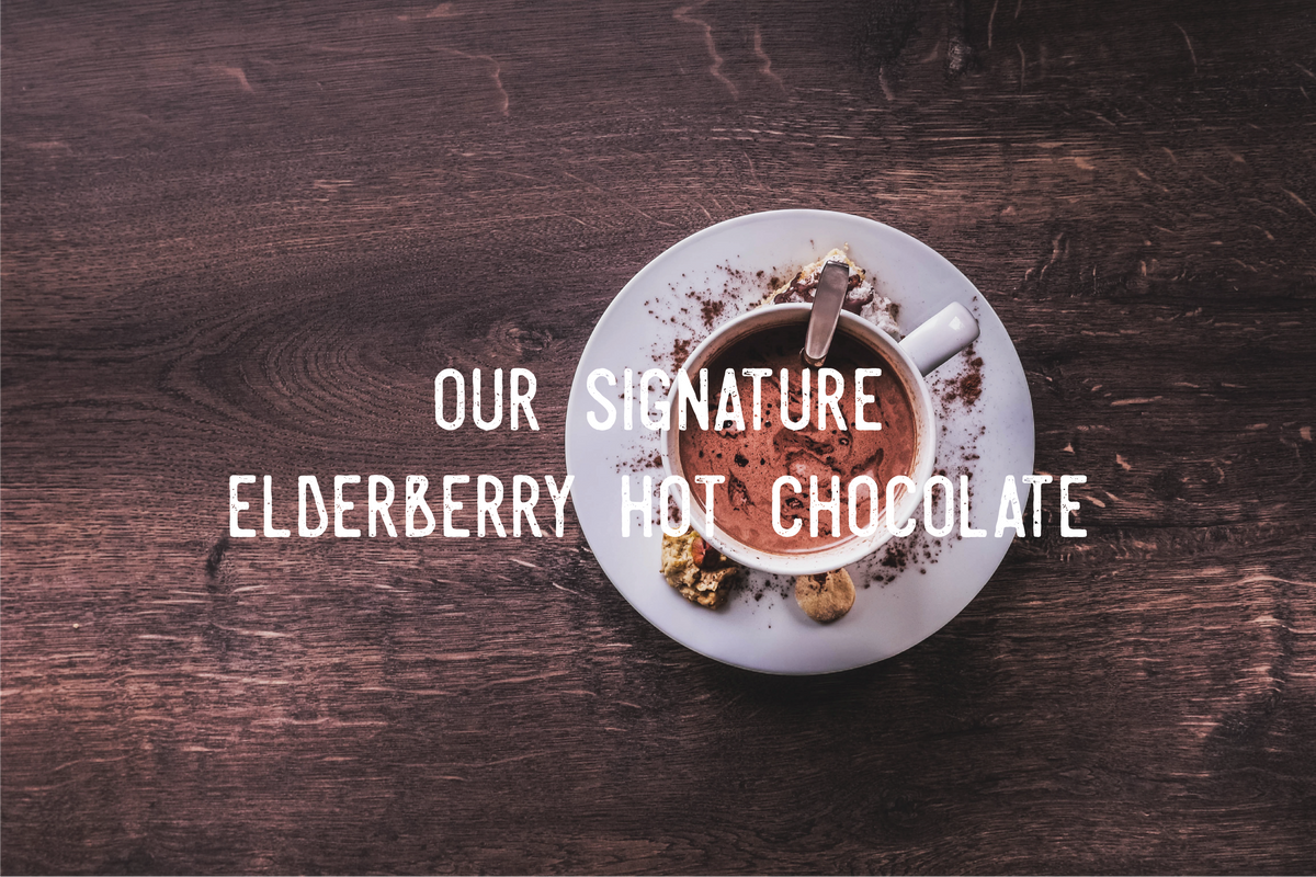 Elderberry Hot Chocolate Recipe – Herbal Deva LLC