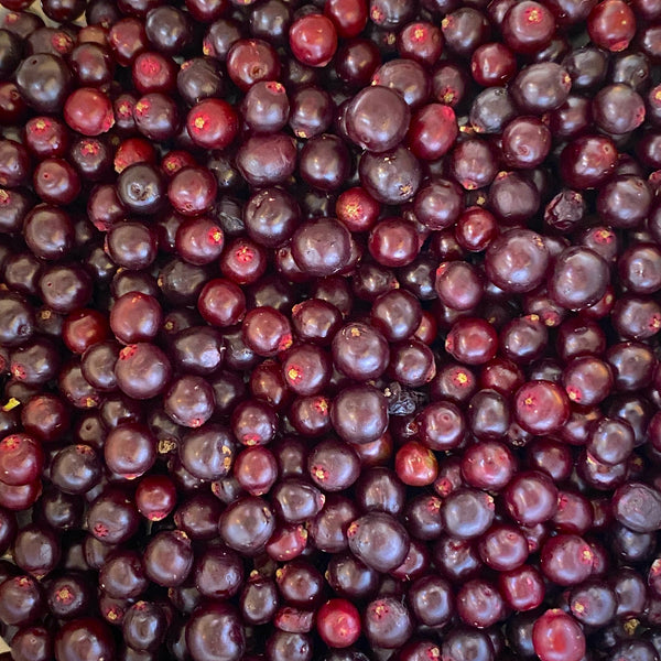 Fresh Elderberry Syrup (3 Bottles)
