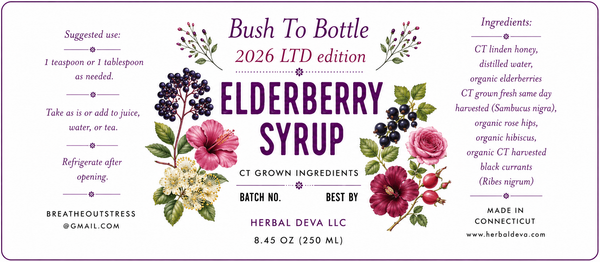 Ltd edition Bush to Bottle Elderberry Syrup 2026