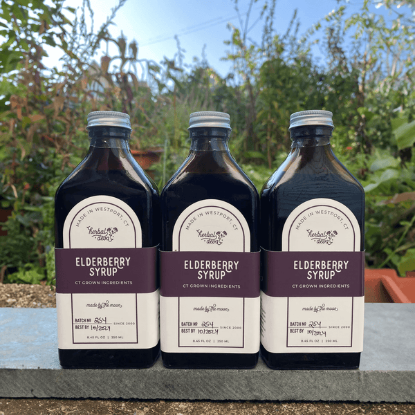 Fresh Elderberry Syrup (3 Bottles)